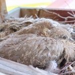 phoca_thumb_m_006 6 Fotogalerie